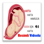 hafta hafta hamilelikte bebeğiniz android application logo